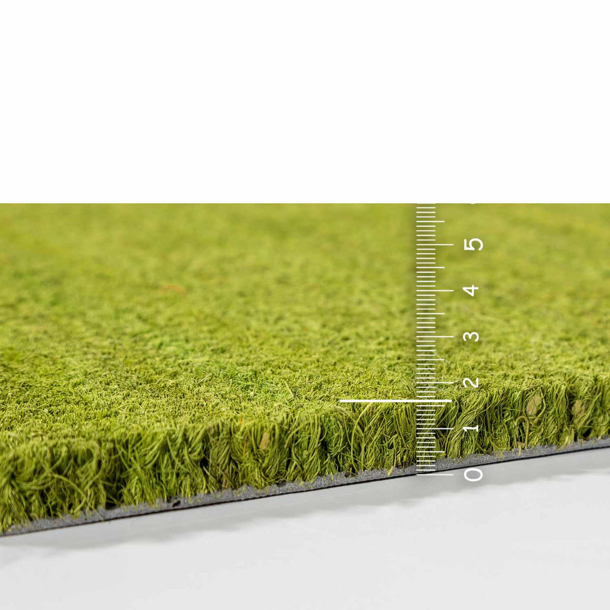 KOKOSMATTE MIT NATURFASERN KEIRA - Grün, Textil (40/60cm) - Astra