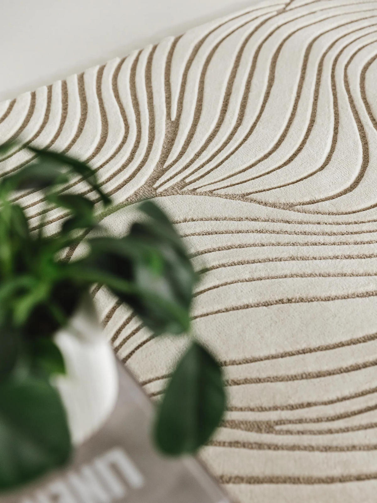 WOLLTEPPICH Tess Cream/Taupe 160x230 cm - Creme, Textil (160/230cm) - benuta Pure