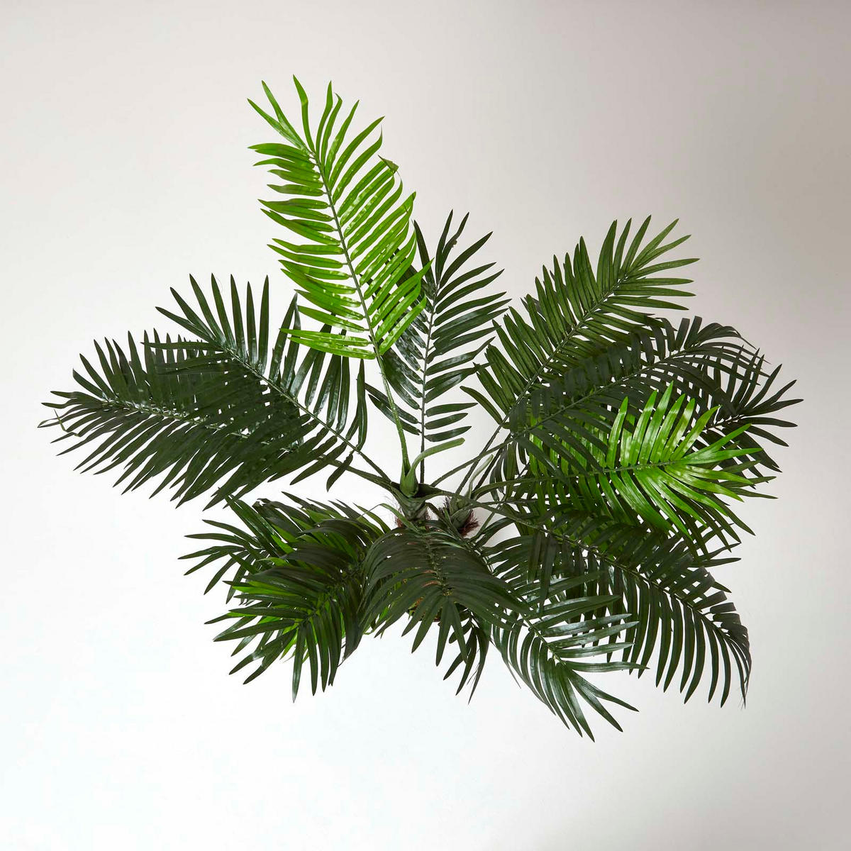 KUNSTPALME Mini, 120 cm - Grün, Kunststoff (120cm) - Homescapes