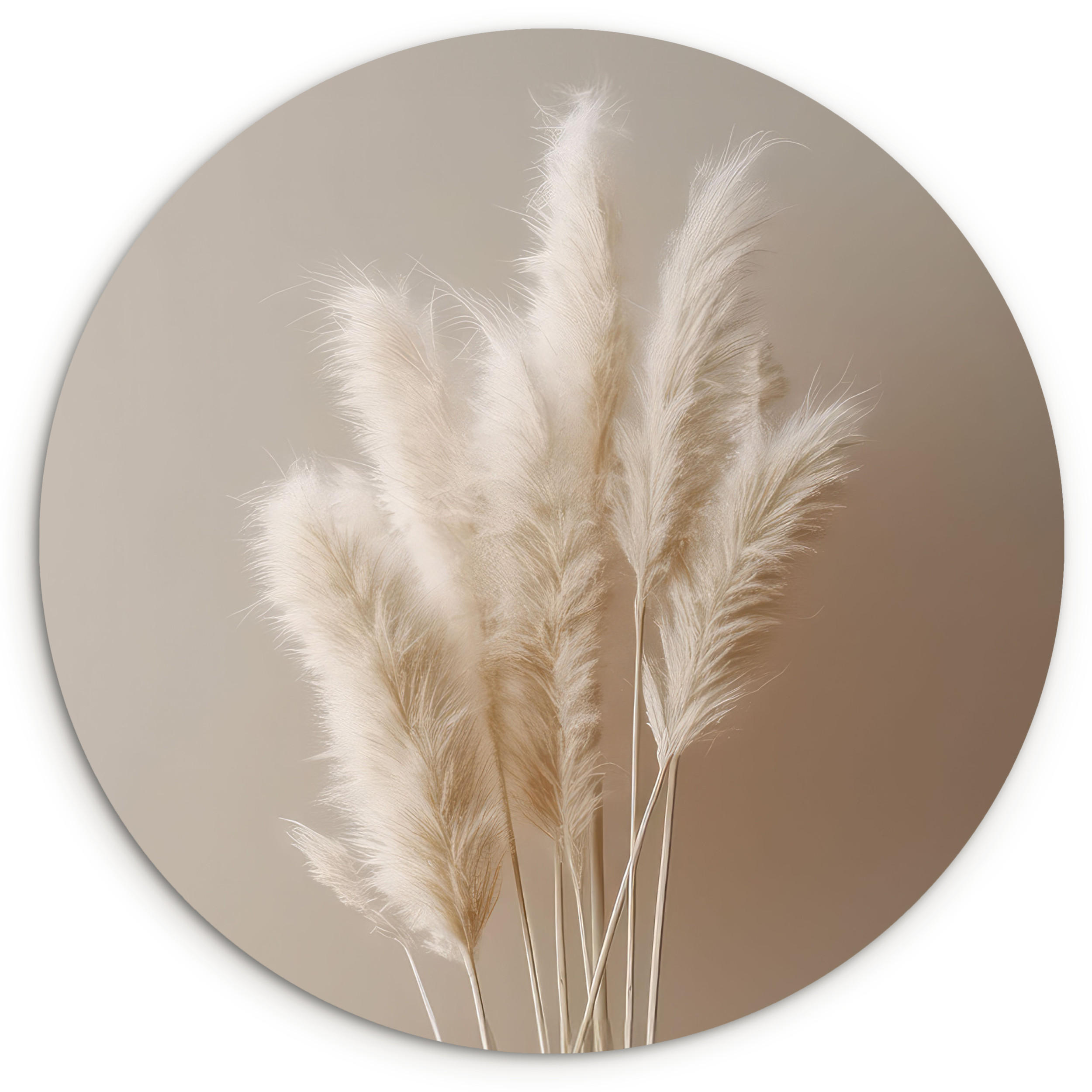 WANDBILD Pampasgras - Federn - Pastell - Weiß 120x120 cm - Sandfarben, Kunststoff (120/120cm) - MuchoWow