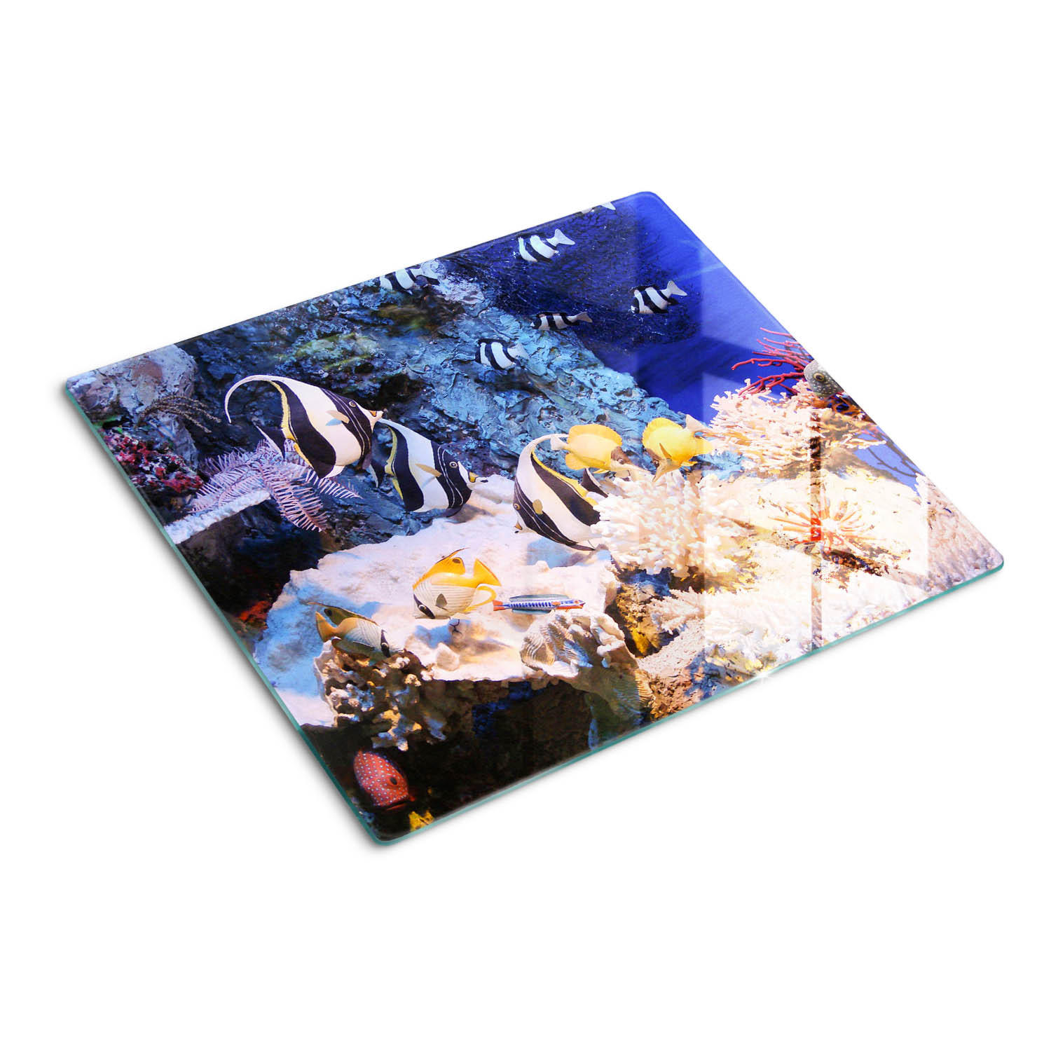 GLASPLATTE 60x52 cm Korallenriff - Champagner/Multicolor, Glas (60/52cm) - TULUP