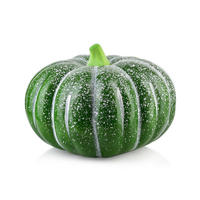 DEKORACE DÝNĚ MAVE, plast, 22 x 16,5 cm - zelená barva, plast (22/16.5/22cm) - Mondex