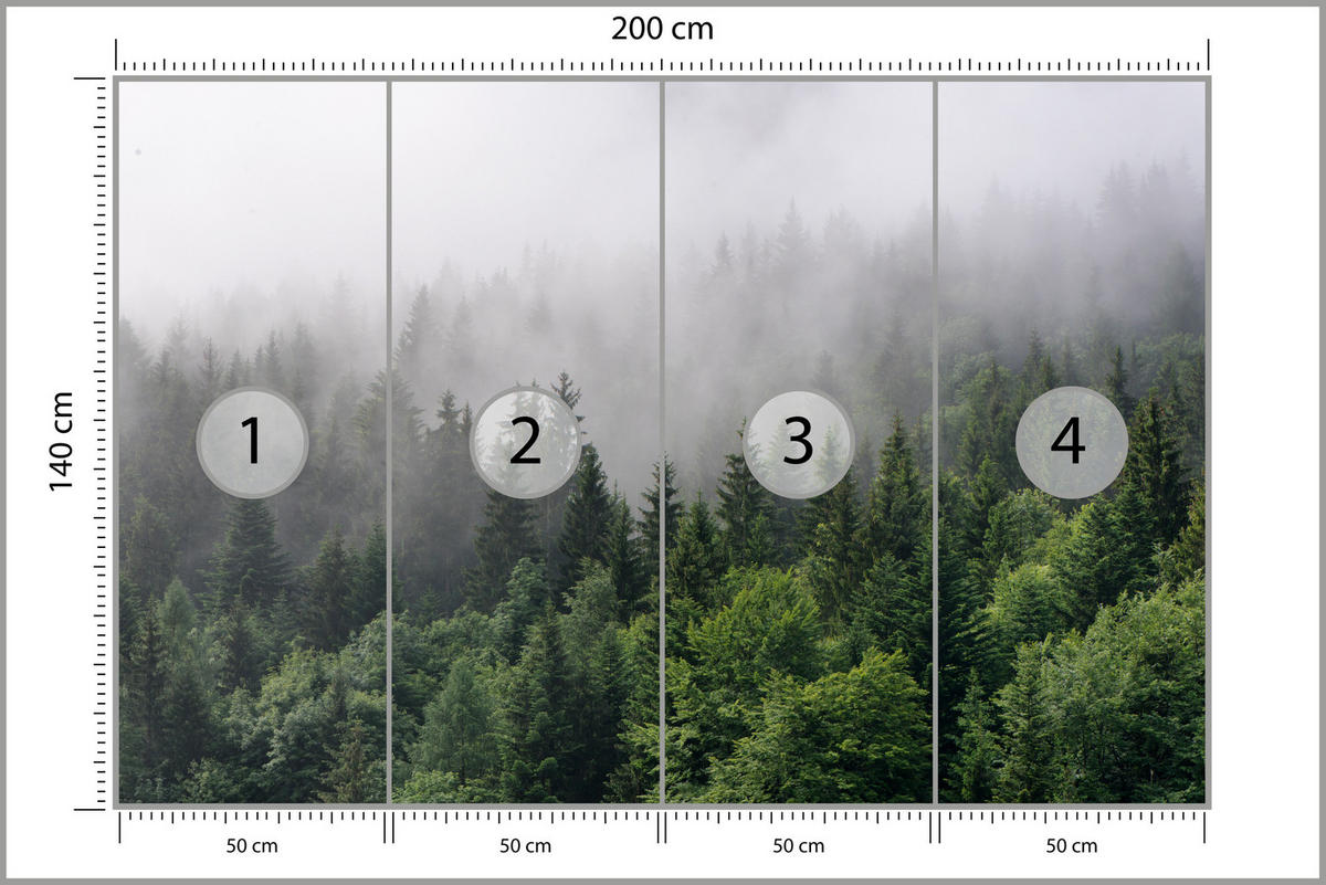 FOTOTAPETE für Wohnzimmer Nadelbäume Nebelwald Grün 200x140 - Grau/Grün, Papier (200/140cm) - Muralo