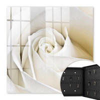 SCHLÜSSELBOX Schwarz 30x30 cm- Türöffnung nach rechts - Weiße Rose - Weiß, Metall (30/30/5cm) - TULUP