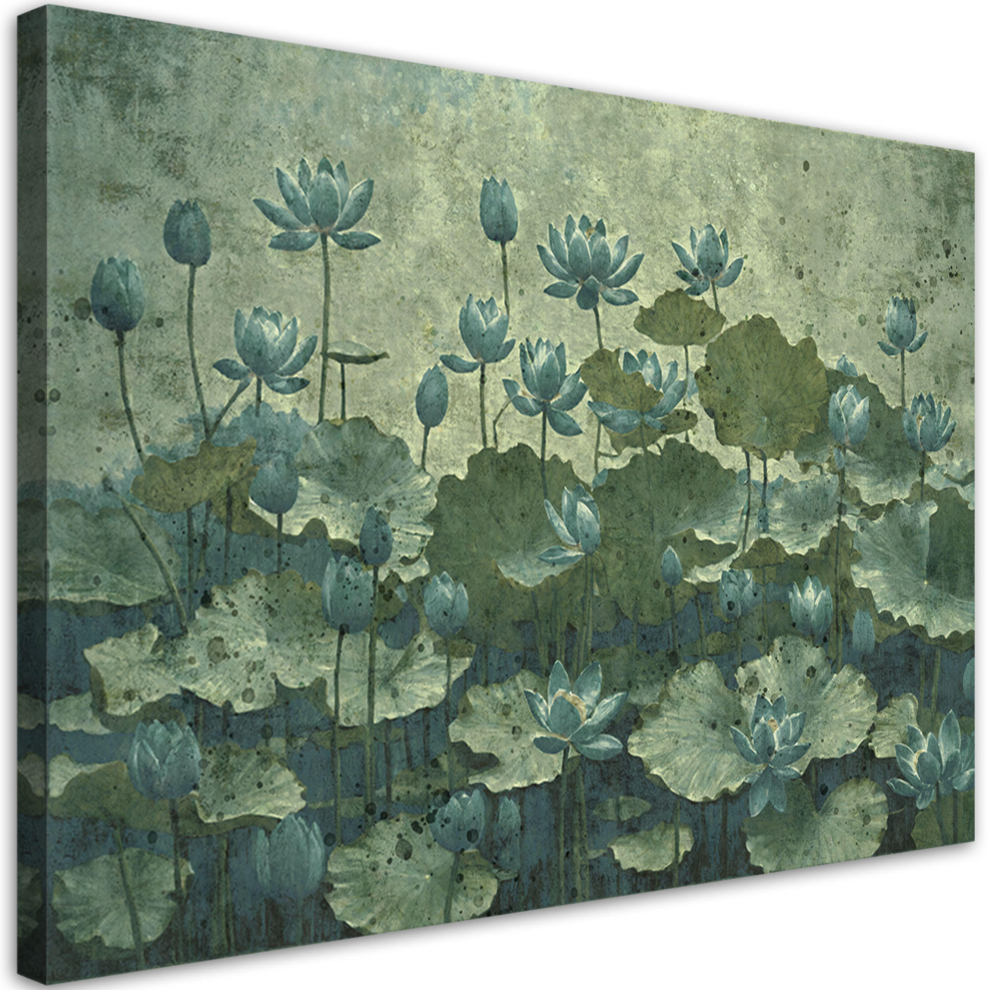 WANDBILD blühende grüne seerosen - Grün, Textil (60/40cm) - Feeby