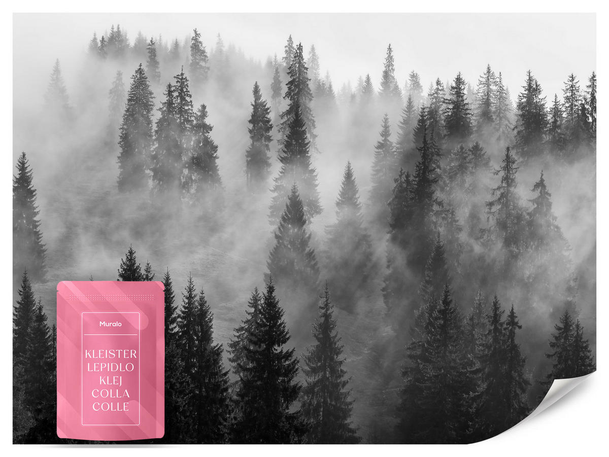 FOTOTAPETA Čierno-biely Les V Hmle Príroda 250 x 175 cm - čierna/sivá, papier (250/175cm) - Muralo