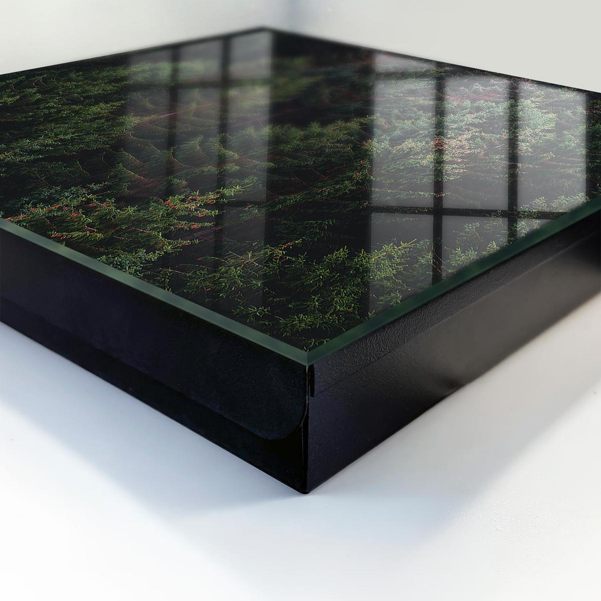 SCHLÜSSELBOX Schwarz 30x30 cm- Türöffnung nach rechts - Grüner Wald - Grün, Metall (30/30/5cm) - TULUP