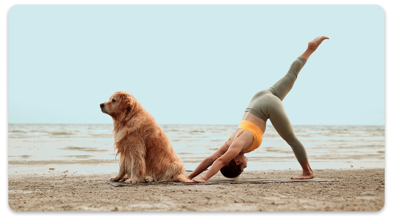 hund und eine frau die yoga macht am strand