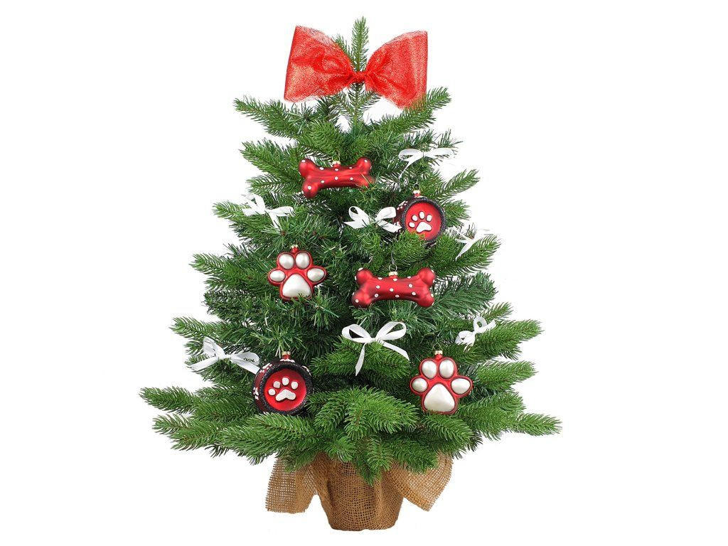 WEIHNACHTSBAUM künstlicher 60 cm mit LED-Beleuchtung, HUNDEFREUDE, mit 14 Weihnachtsbaumschmuck, Pflanztopf mit Jutesack - Rot/Silberfarben, Kunststoff/Stein (40/60cm) - LAALU