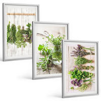 BILDER SET 3er Set - 40x60 cm Silberner Rahmen - Kräuterpflanzen für die Küche - Silberfarben, Kunststoff (40/60cm) - TULUP