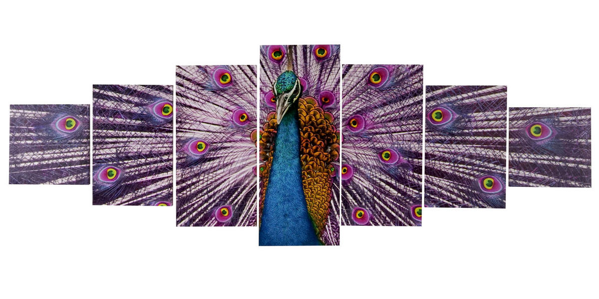 LEINWANDBILD XL PFAU 7-TLG. Multicolor - Multicolor, Holz (245/87cm) - Jamb