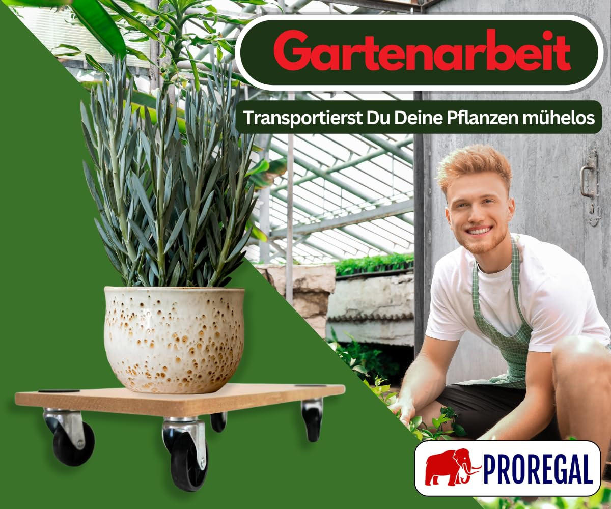 TRANSPORTROLLER mit 4 Rollen 11,5x30x60cm Traglast 200kg MDF Holzplatte Braun 2 Stück - Hellbraun, Holzwerkstoff (60/30/11.5cm) - PROREGAL