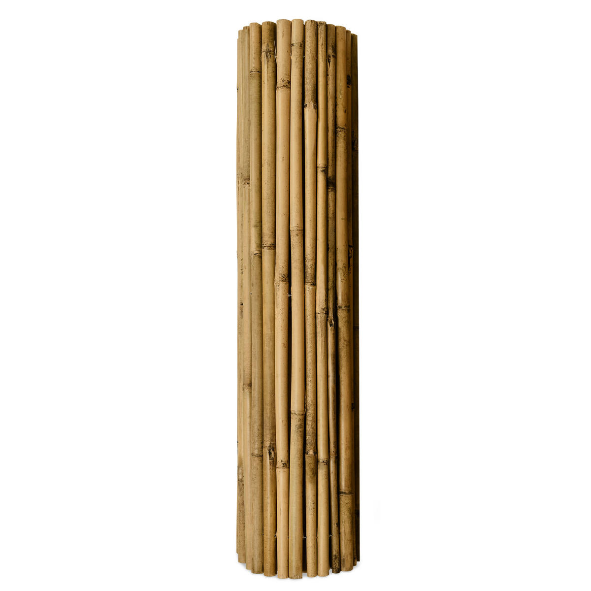 SICHTSCHUTZZAUN SolVision B38 150/250 cm Bambus - Naturfarben, Kunststoff (250/150cm) - Sol Royal
