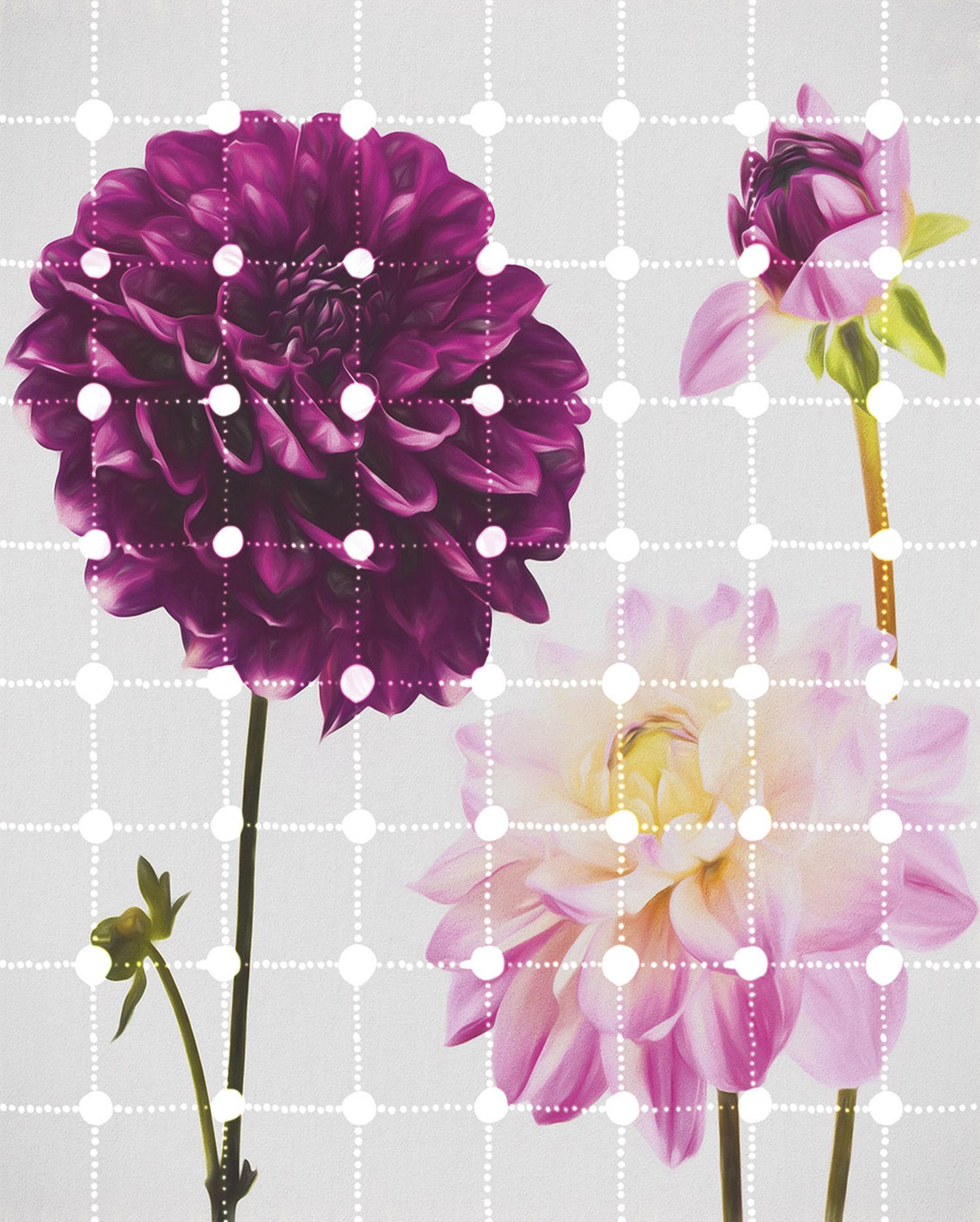 FOTOTAPETE Blumen & Punkte 200 x 250 cm - Pink, Papier (200/250cm) - Sanders & Sanders