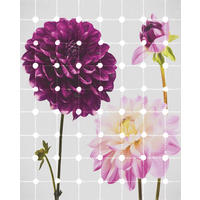 FOTOTAPETE Blumen & Punkte 200 x 250 cm - Pink, Papier (200/250cm) - Sanders & Sanders