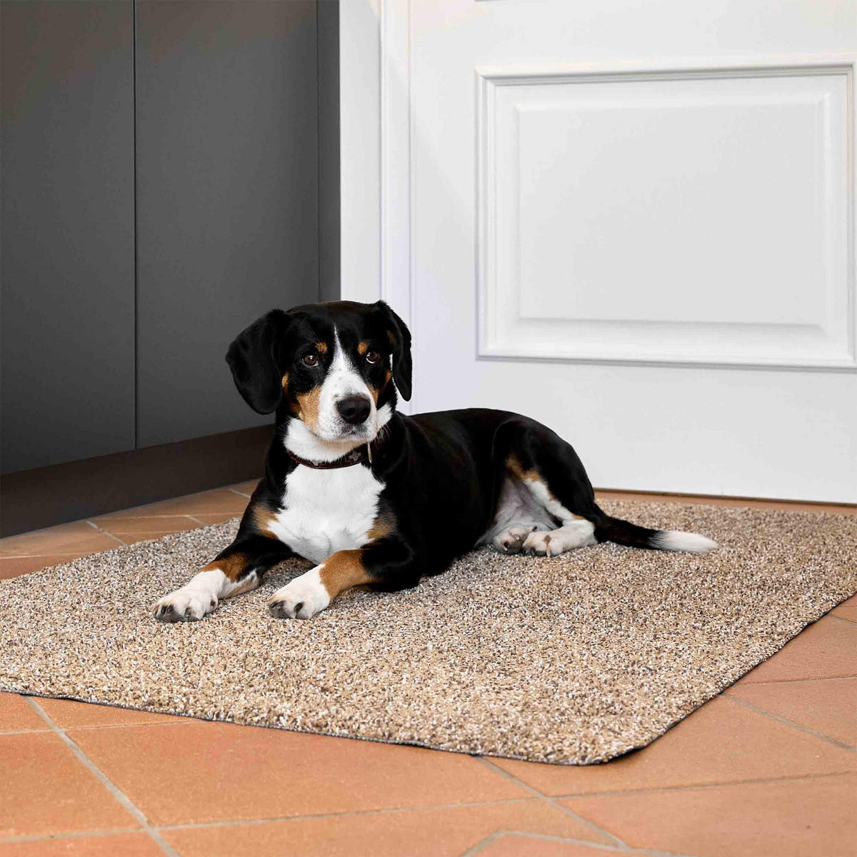 FUSSMATTE FÜR INNEN ENTRA 2ER SET - Beige, Textil (40/60cm) - Astra