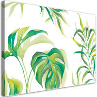 WANDBILD monster's blätter - Weiß, Textil (60/40cm) - Feeby