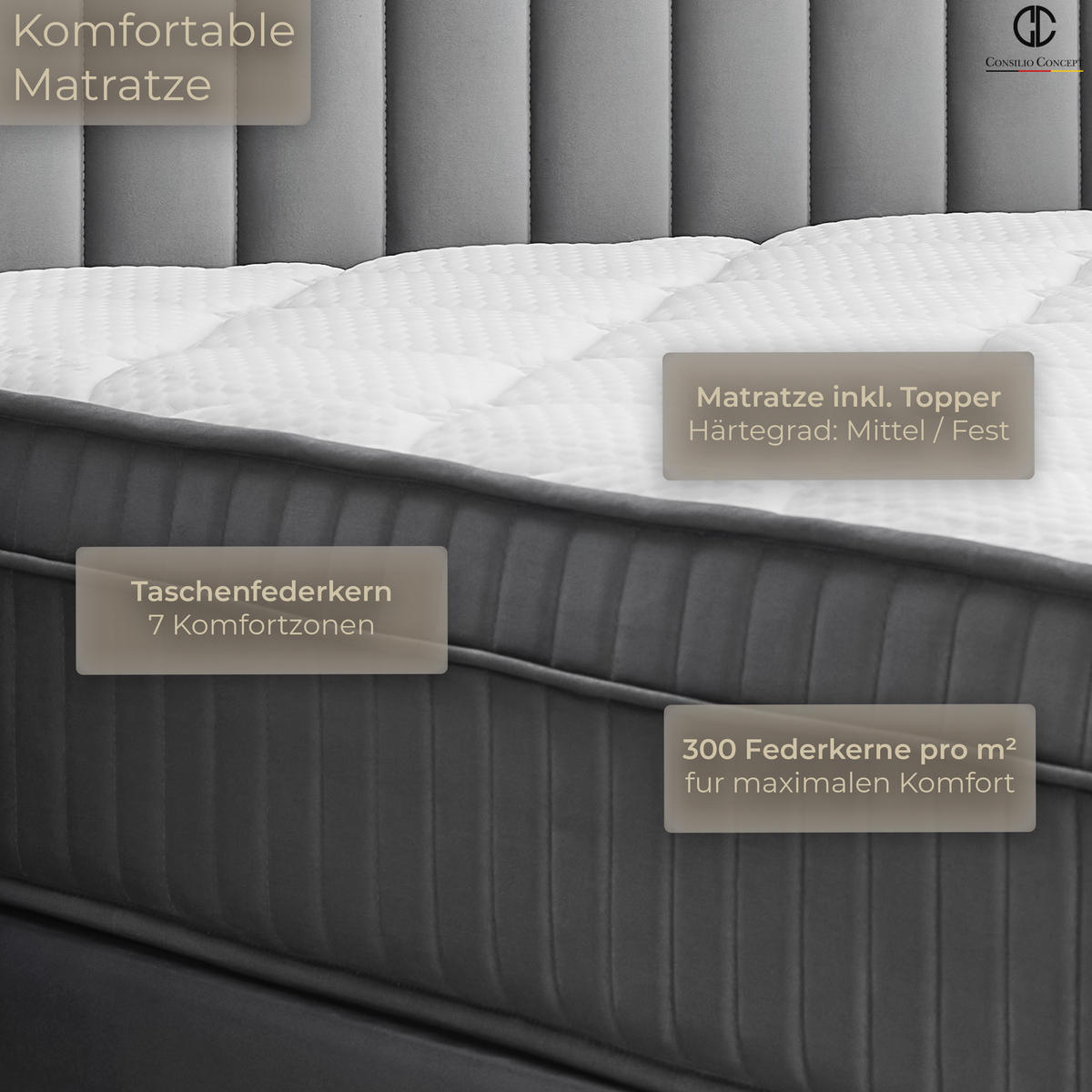 BOXSPRINGBETT MIT BETTKASTEN CARL 160/200 cm, Grau, Bettkasten, Matratze, Topper integriert, H3 mittel 7-Zonen Matratze - Schwarz/Grau, Holz/Kunststoff (160/200cm) - Consilio Concept