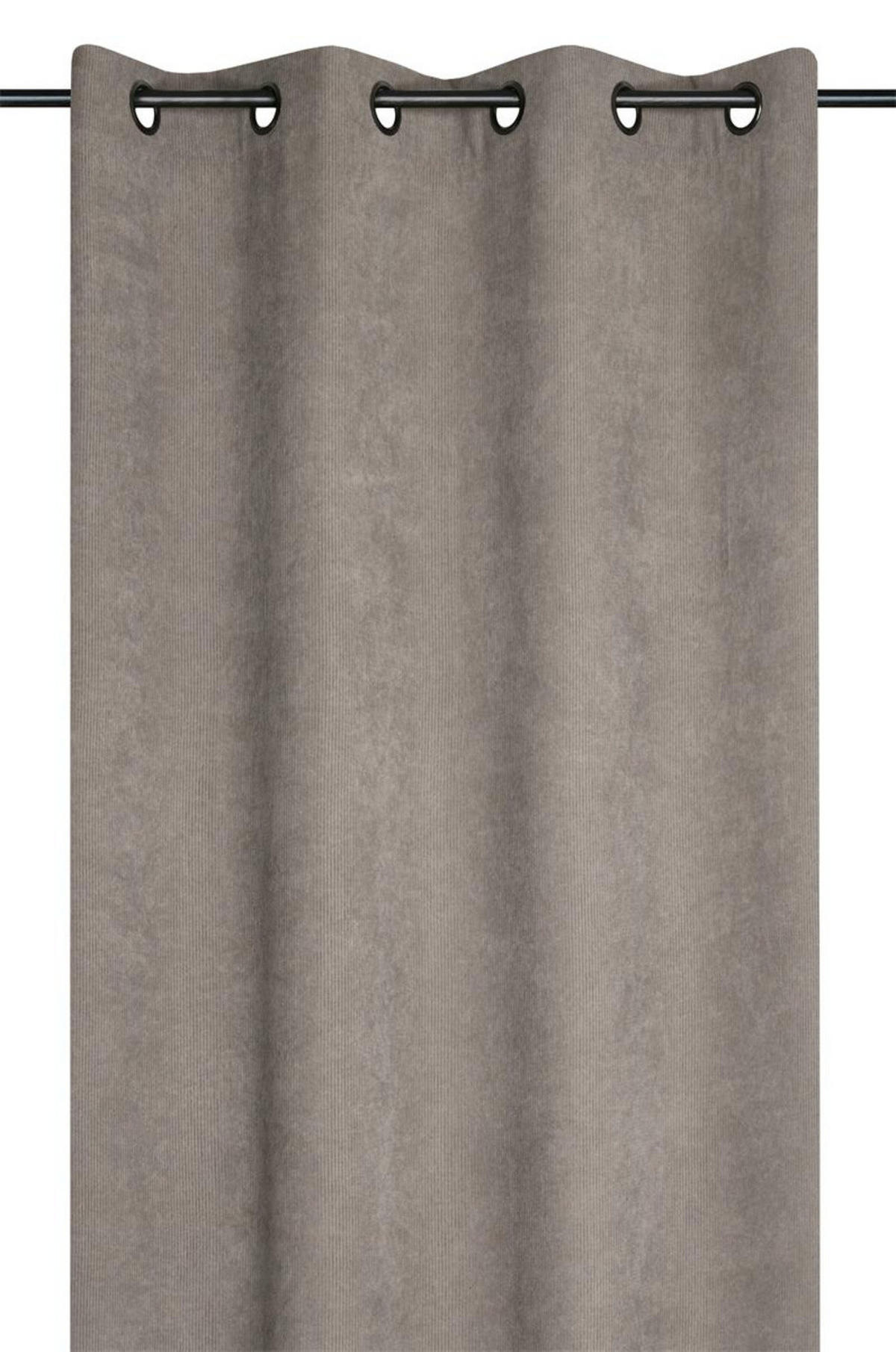 VORHANG Samt Dandy 140/260 cm - Taupe, Textil (140/260cm)