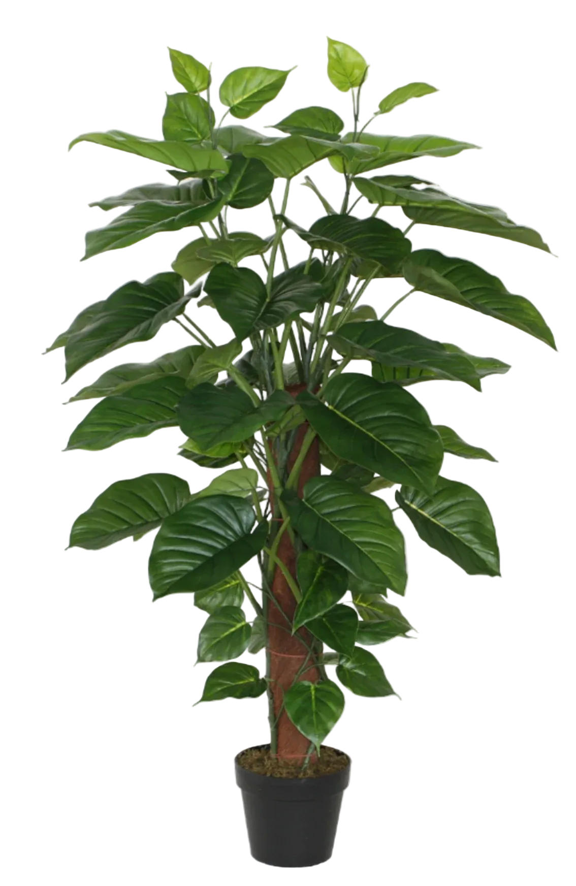 KUNSTPFLANZE Künstlicher Pothos – Elowyn 120 cm - Grün, Kunststoff (120cm) - aplanta