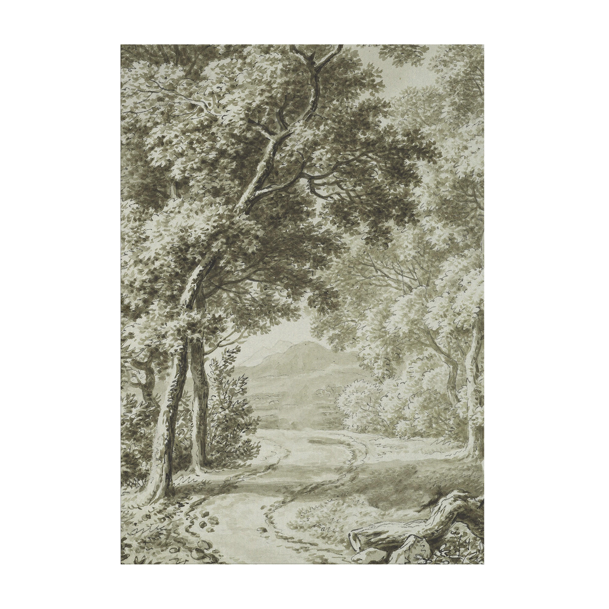 LEINWANDBILD Waldweg 70x50cm - Grün, Textil (70/1cm) - Art for the Home