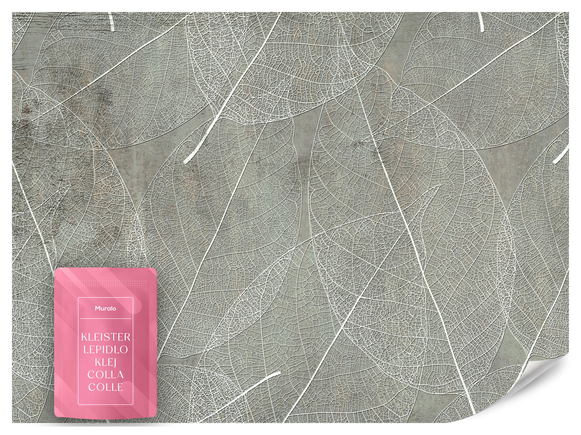 FOTOTAPETE für Schlafzimmer Weiße Blätter auf Beton 150x105 - Weiß/Grau, Papier (150/105cm) - Muralo