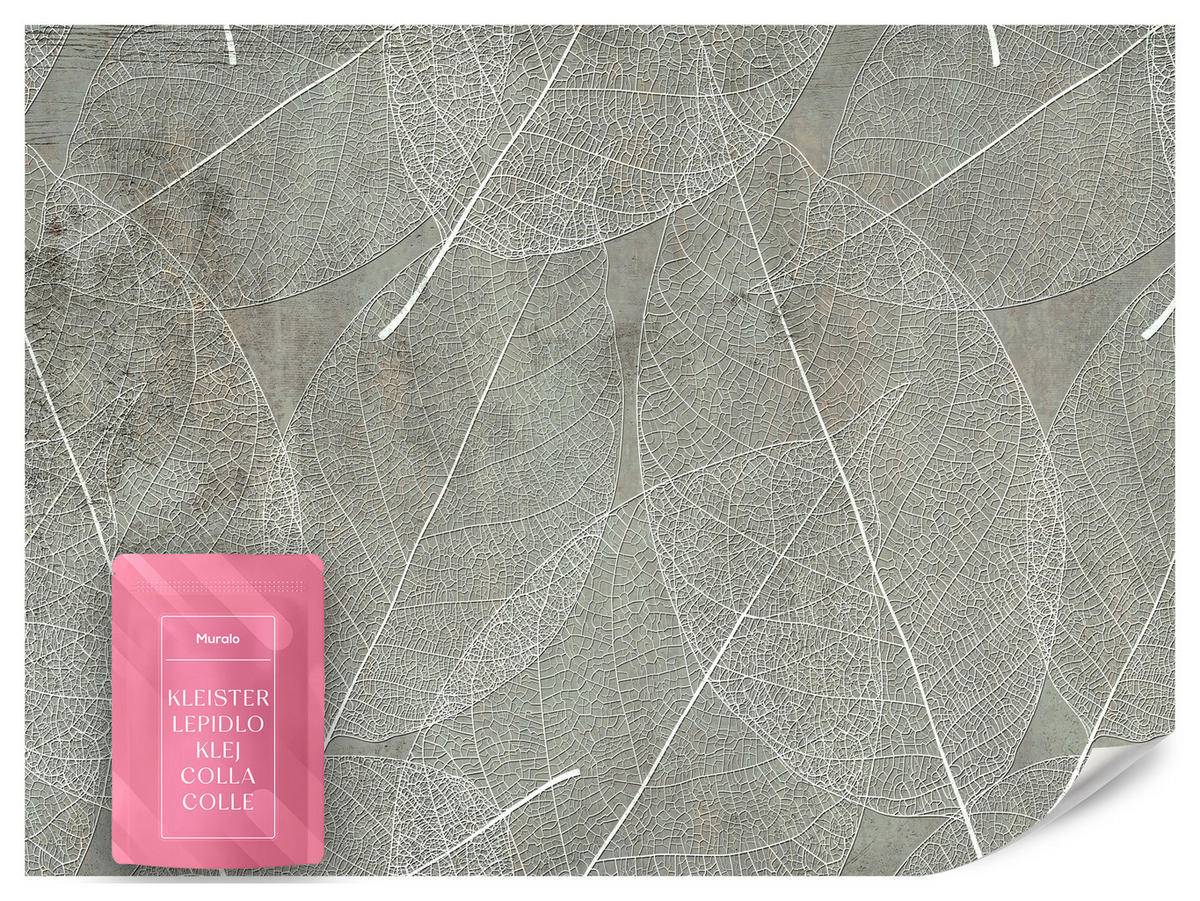 FOTOTAPETE für Schlafzimmer Weiße Blätter auf Beton 150x105 - Weiß/Grau, Papier (150/105cm) - Muralo