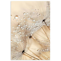 POSTER Löwenzahn - Abstrakt - Natur - Beige 20x30 cm - Braun, Papier (20/30/0.1cm) - MuchoWow