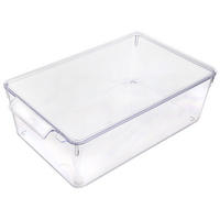 KÜHLSCHRANK-ORGANIZER mit Deckel 32,5 x 20 x 10,5 cm - Transparent, Kunststoff (32.5/10.5/20cm) - Orion 