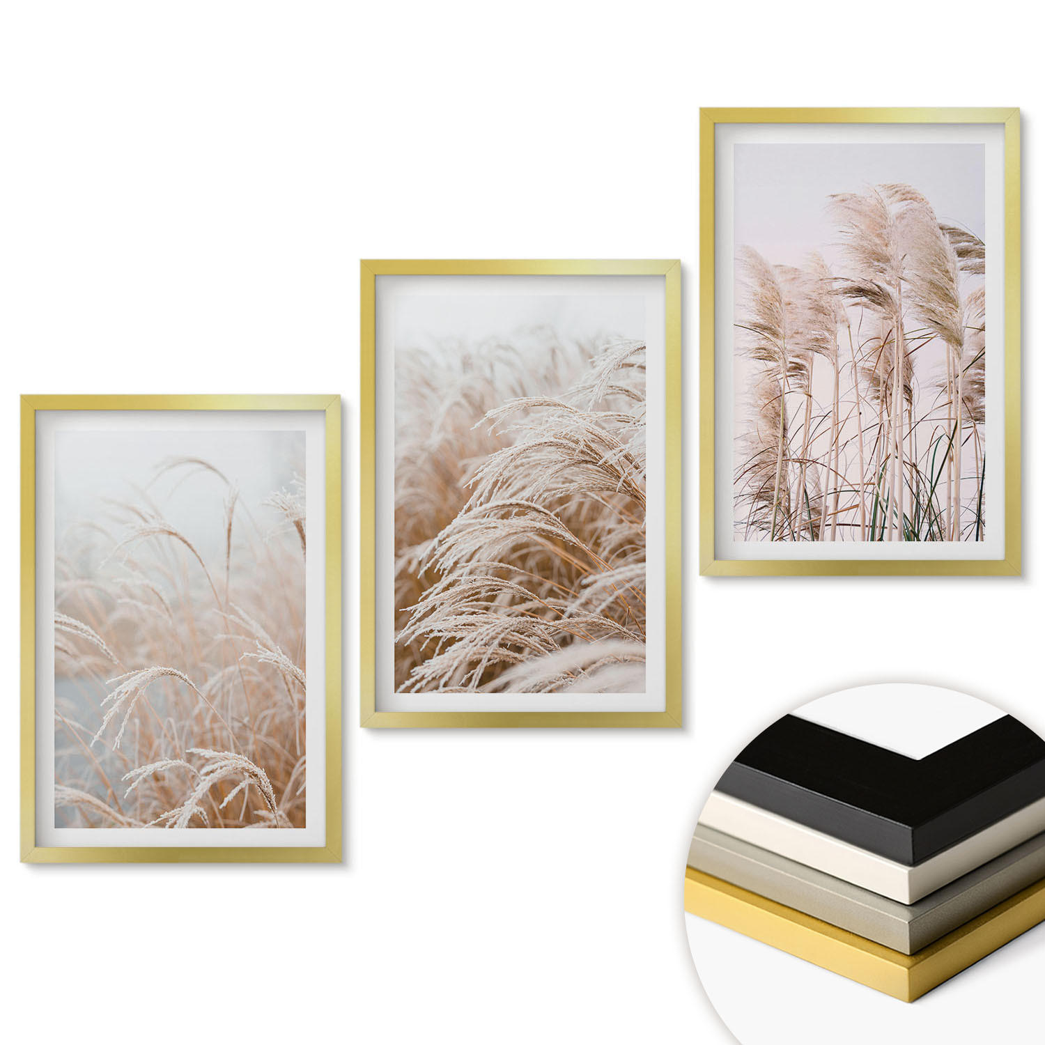WANDBILDER 3er Set - 40x60 cm Goldrahmen - Grasflächen in Braun- und Beigetönen - Goldfarben, Kunststoff (40/60cm) - ArtPrintCave
