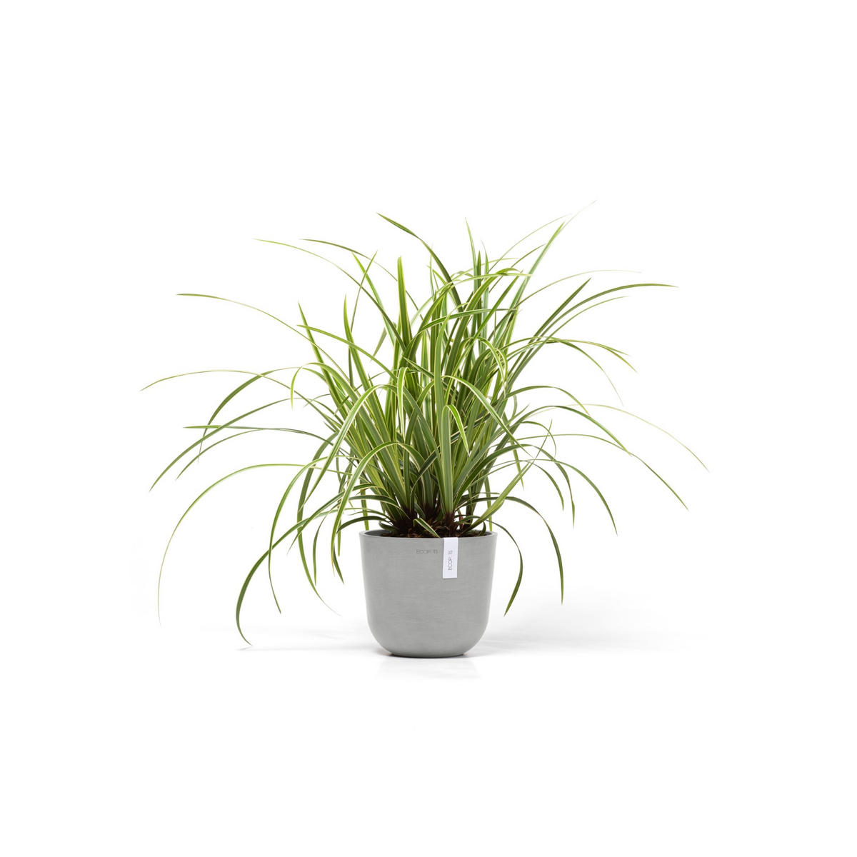 BLUMENTOPF Oslo Mini 19/16,5 cm Hellgrau - Hellgrau, Kunststoff (19/16.5cm) - Ecopots