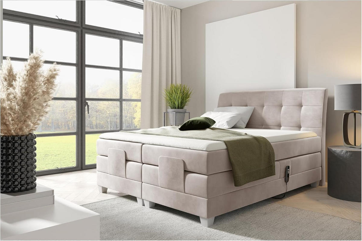 BOXSPRINGBETT DANTE - Beige, Holzwerkstoff (120/200cm) - Meblini