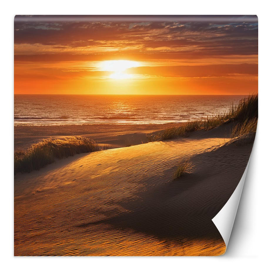 FOTOTAPETE, Sonnenuntergang Strand Natur - Orange, Papier (150/1cm) - Feeby