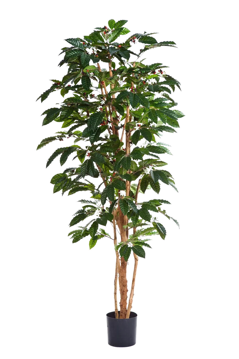 KUNSTBAUM Künstlicher Kaffebaum - Philomena 180 cm - Multicolor, Kunststoff (180cm) - aplanta