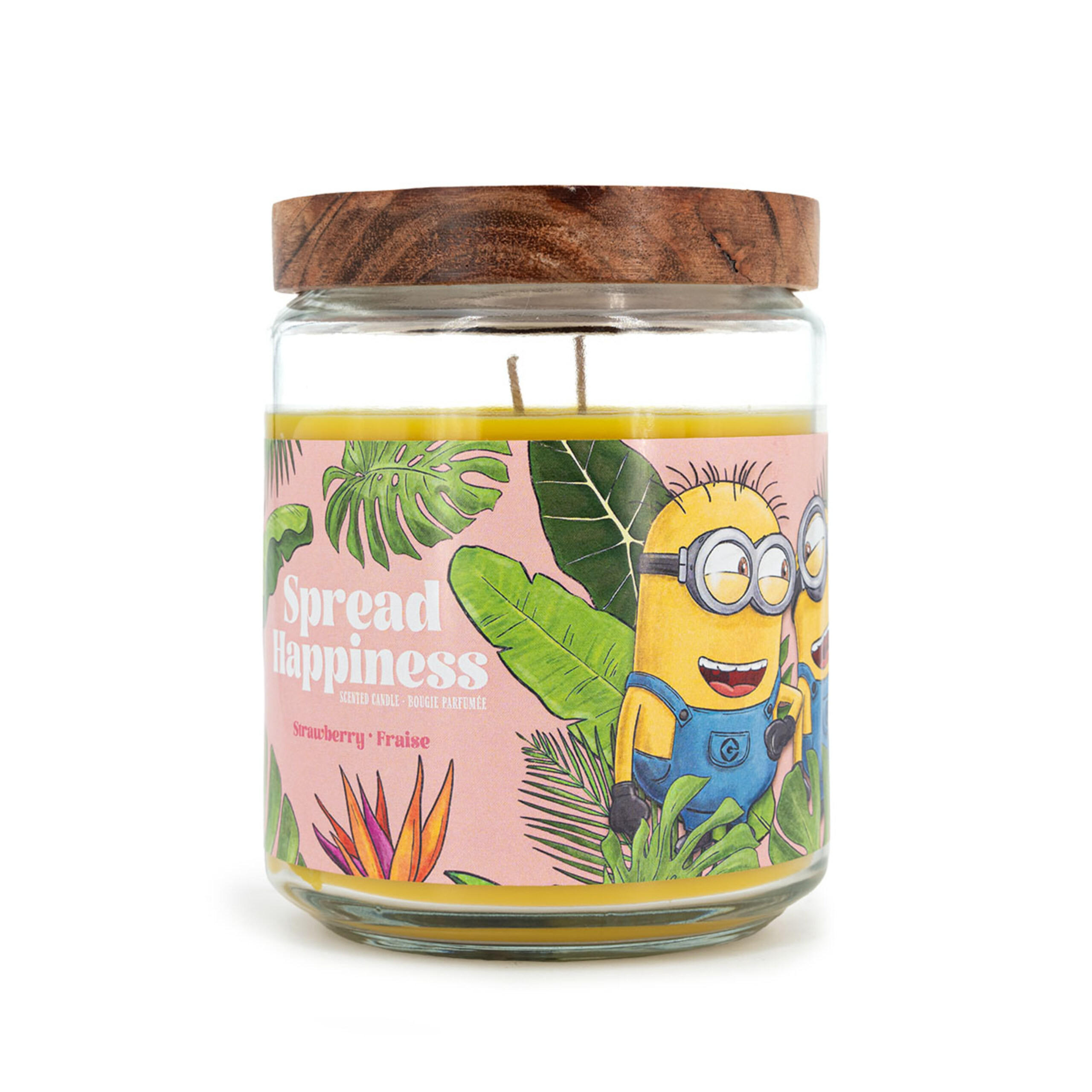 DUFTKERZE Minions - Multicolor, Glas/Naturmaterialen (12.5cm)