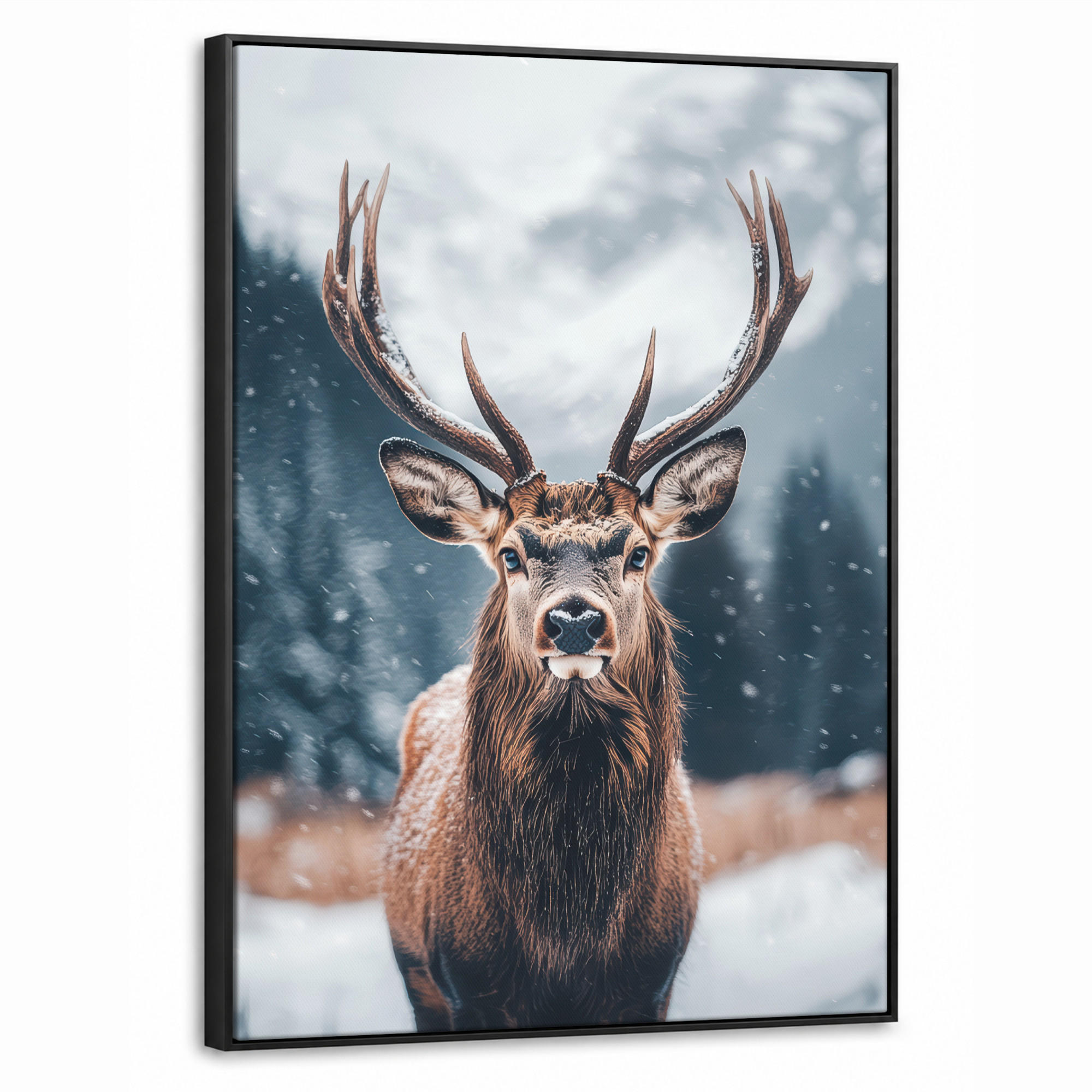 MuchoWow Leinwand Kastanien 50x70 cm