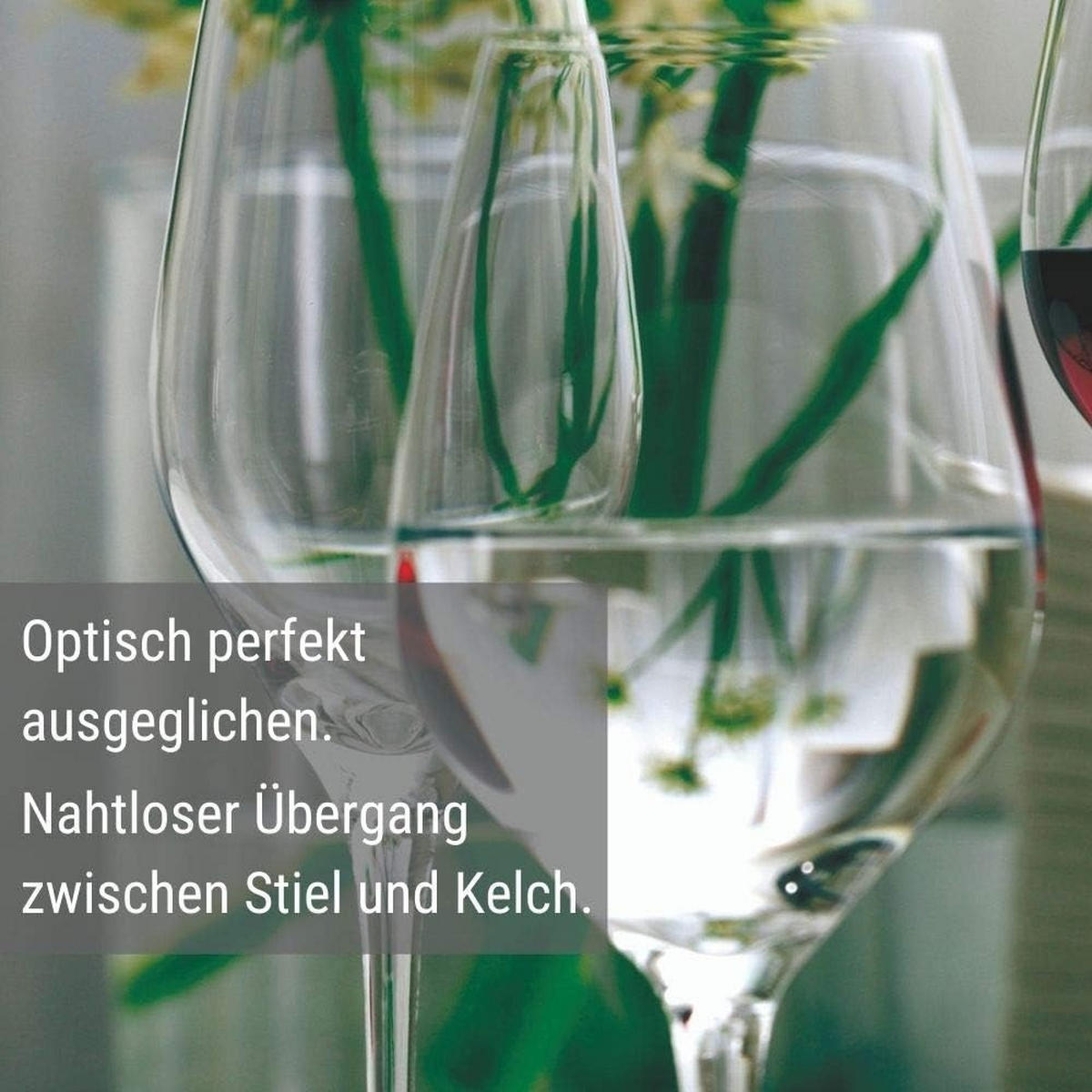 WEISSWEINKELCH Exquisit Royal /Rotweinkelch Set 12 tlg - Transparent, Glas (0.42L) - Stölzle