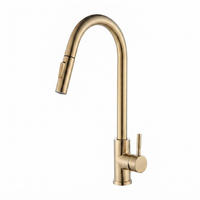 BADEZIMMERARMATUR, 40,5 x 25 cm, gold - Goldfarben, Metall (55/7/26cm) - Vallsero