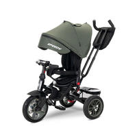 DREIRAD Speedy grün Luftreifen, Musikfunktion, Licht am Lenker, Schubstange, Sonnendach - Grün, Metall (109/52/102cm) - Lorelli