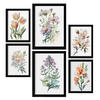 POSTER Set Mit 6 Blumensträuße Vollfarbige Natur Und Botanikdrucke Mit Blumenmotiven Auf Reinweißen Hintergründen A3 & A4 Schwarzer Rahmen - Schwarz, Papier (29/3cm) - Nacnic