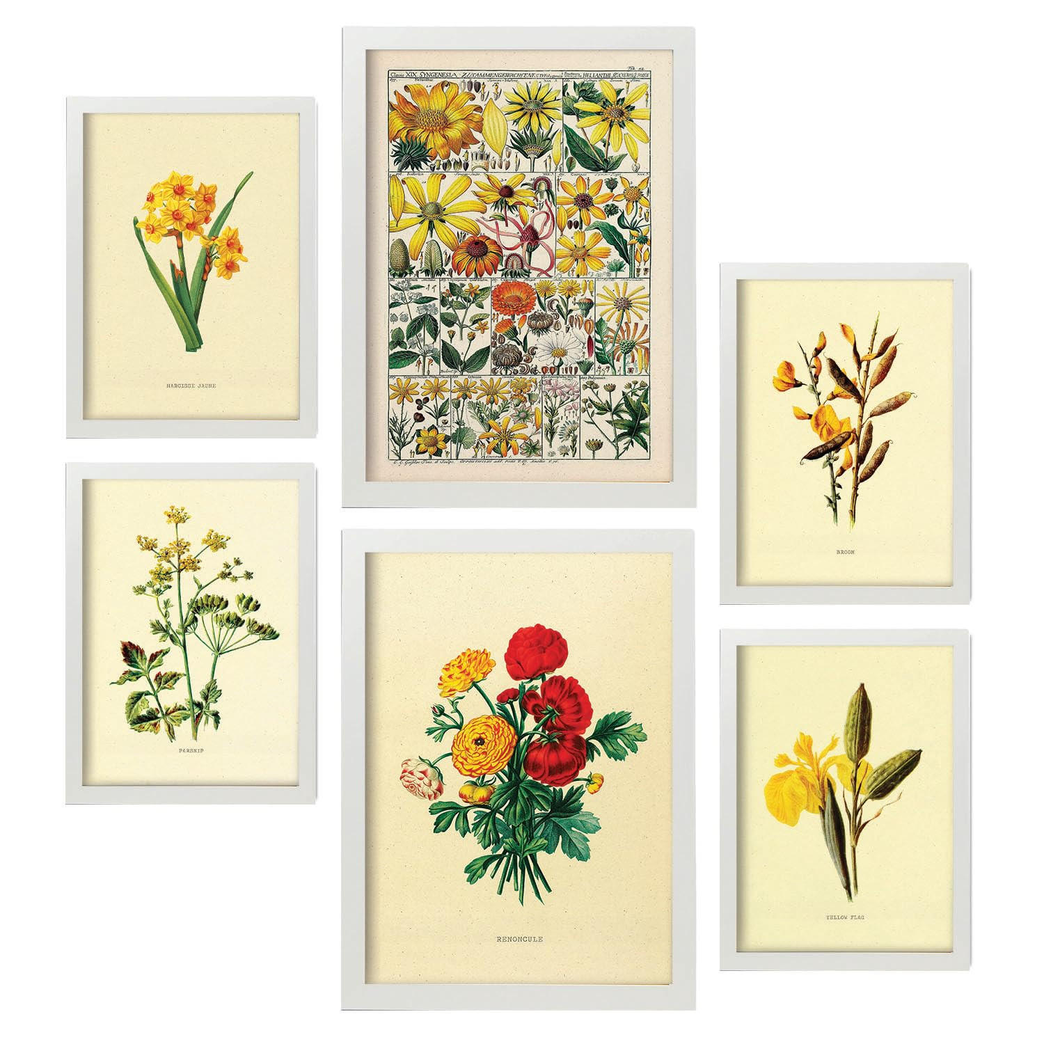 POSTER Set Mit 6 Gelbe Blumen In Vintage A3 & A4 Weißer Rahmen - Weiß, Papier (29/3cm) - Nacnic