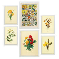 POSTER Set Mit 6 Gelbe Blumen In Vintage A3 & A4 Weißer Rahmen - Weiß, Papier (29/3cm) - Nacnic