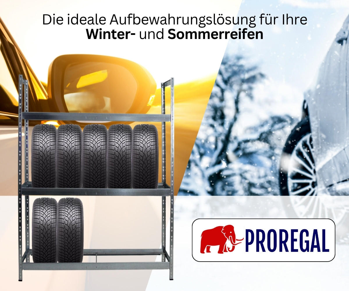 REIFENREGAL Tiger XL 200x150x45 cm 300 kg Fachlast bis zu 18 Reifen auf 3 Ebenen Verzinkt - Silberfarben, Metall (150/200/45cm) - PROREGAL