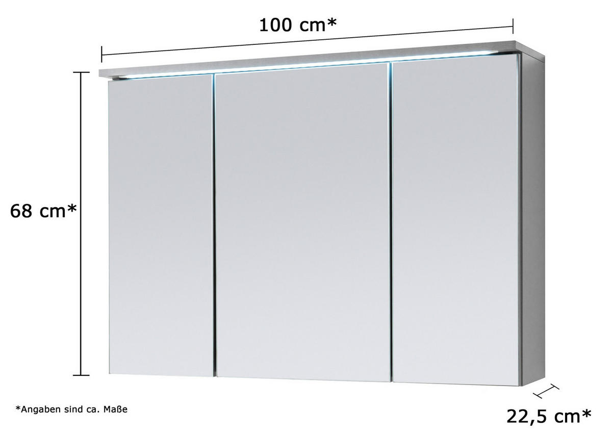 SPIEGELSCHRANK Bad 100 cm GRAU mit LED-Beleuchtung & Steckdose - Grau, Holzwerkstoff (100/68/15cm) - Aileenstore