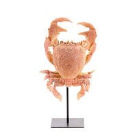 ORNAMENT Krabbe Orange 23/12,5/42,5 cm - Orange, Kunststoff (12.5/42.5/23cm) - Light & Living