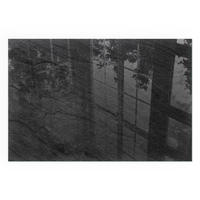 GLASPLATTE für Kamin 60x40 cm - Schwarz, Glas (60/40/0.4cm) - TULUP