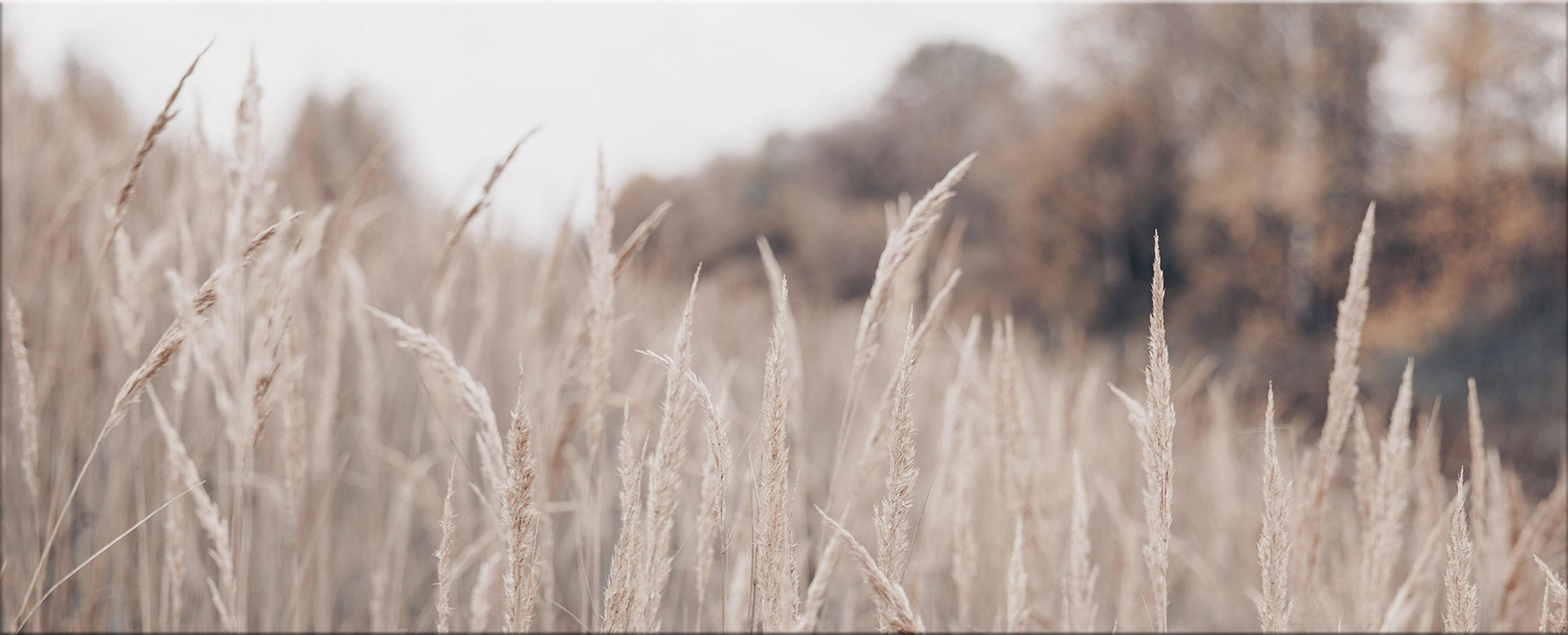 GLASBILD 125x50 cm Natur Boho beige - Beige, Glas (125/50cm) - artissimo