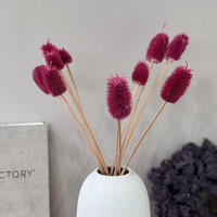 TROCKENBLUMEN Getrocknete Distel Berry - Pink, Naturmaterialien (60cm)