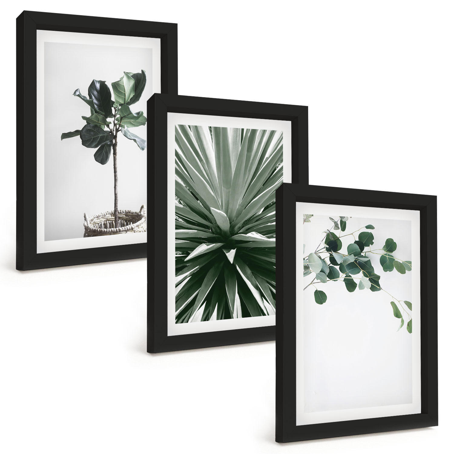 BILDER SET 3er Set - 20x30 cm Schwarzer Rahmen - Minimalismus mit grünen Pflanzen - Schwarz, Kunststoff (20/30cm) - TULUP