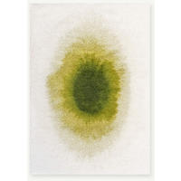 TEPPICH modern Flachgewebe GLOBE Grün 240 x 340 cm - Grün, Textil (240/340cm) - Novatrend